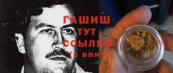 МДПВ Вяземский