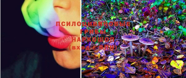 МДПВ Вяземский