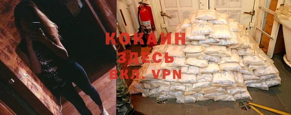 МДПВ Вяземский