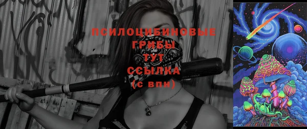 МДПВ Вяземский