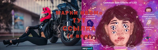 МДПВ Вяземский